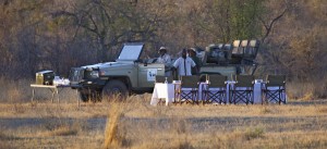 Safari Photography Workshops
