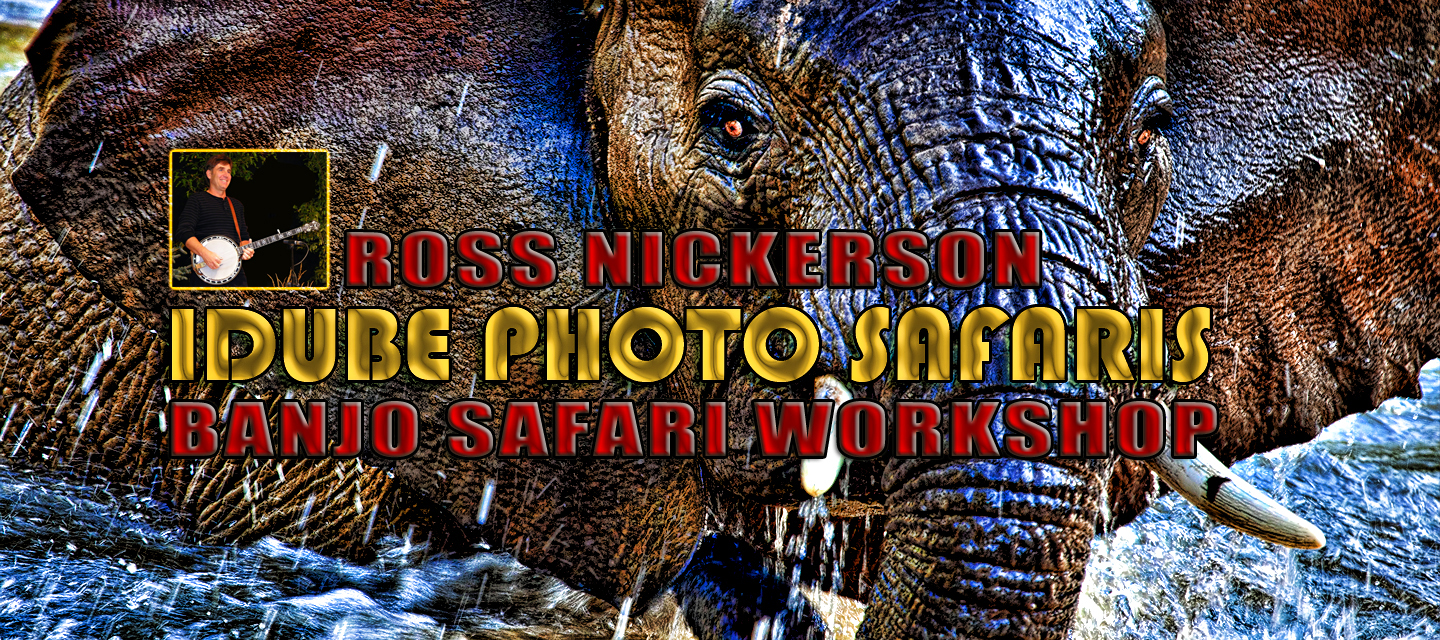 Clothing stores online. Safari clothing store