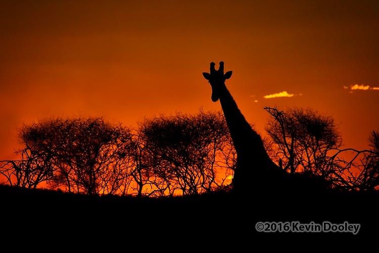 African P{photography Workshops