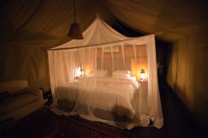 Idube Photo Safaris
