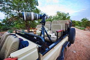 Idube Photo Safaris
