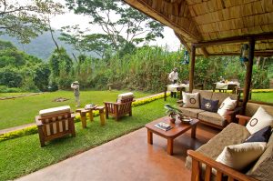 African Photo Safaris