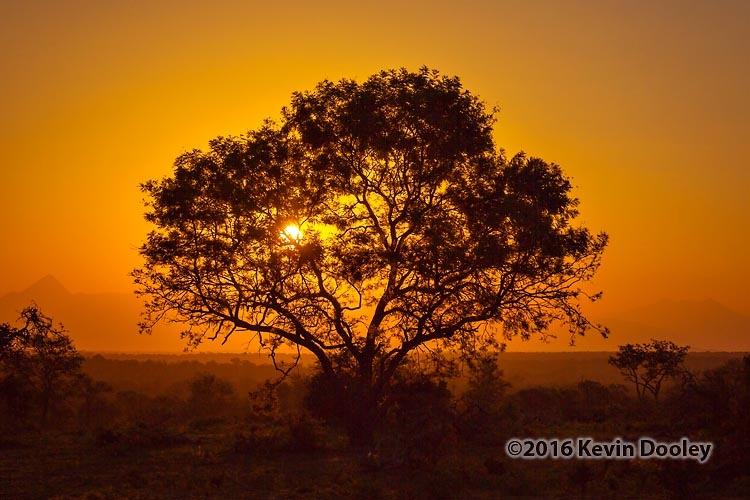 Jerry Ghionis Workshop