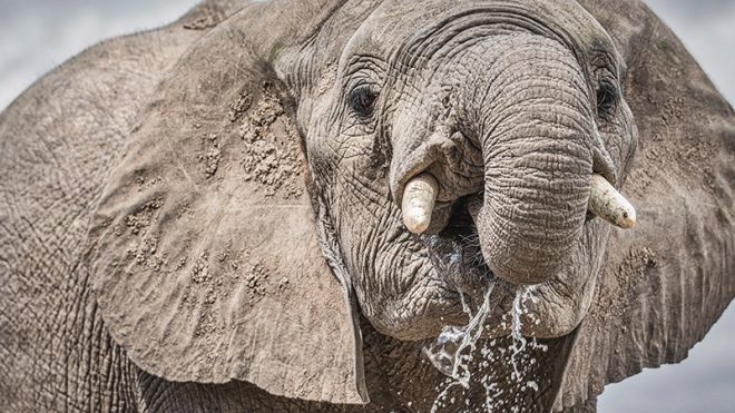 Photography Composition Wildlife workshop part two