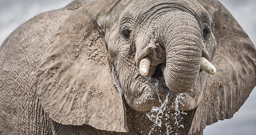 Photography Composition Wildlife workshop part two