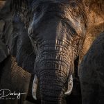Photographer Kevin Dooley